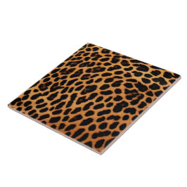 Leopard Modern Cat Animal Print Collection Kakelplatta