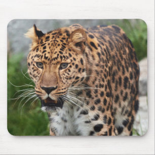 Leopard Mouse Pad Musmatta