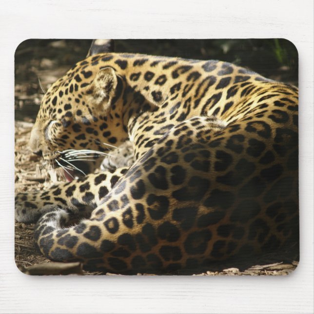 Leopard Mousepad Musmatta (Framsidan)
