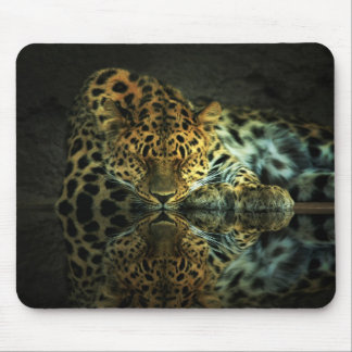 Leopard Musmatta