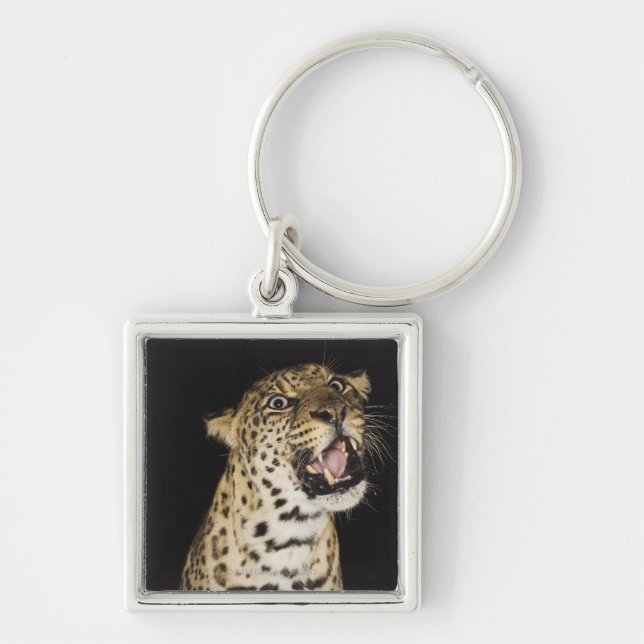 Leopard mycket fyrkantig silverfärgad nyckelring (Framsidan)