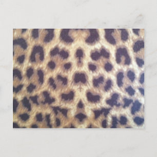Leopard, nr 36884 vykort