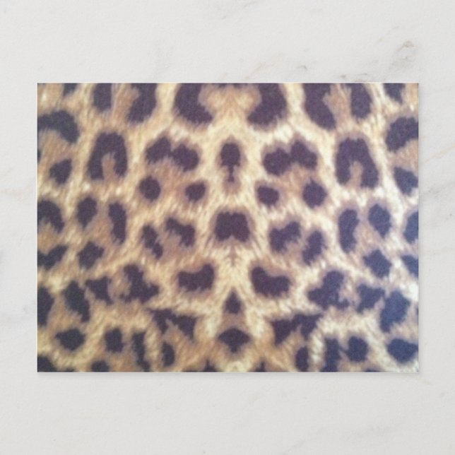 Leopard, nr 36884 vykort (Framsida)