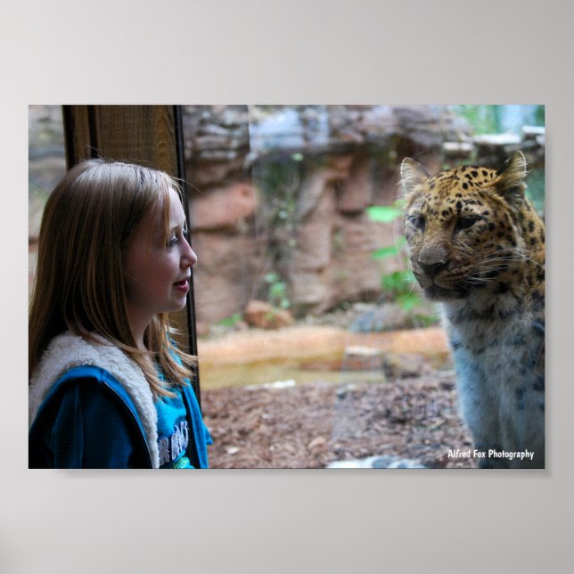 Leopard och barnporträtt poster (Framsidan)