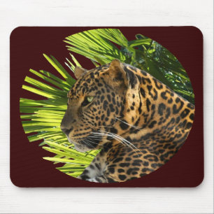 LEOPARD OCH HANDFLATAN MUSMATTA