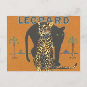 Leopard och Panther Vykort