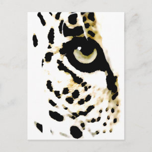 Leopard Öga Vykort