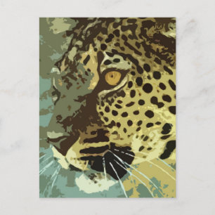 Leopard Öga Vykort