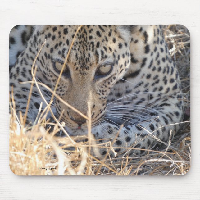 LEOPARD ÖGON NÄRbild Musmatta (Framsidan)