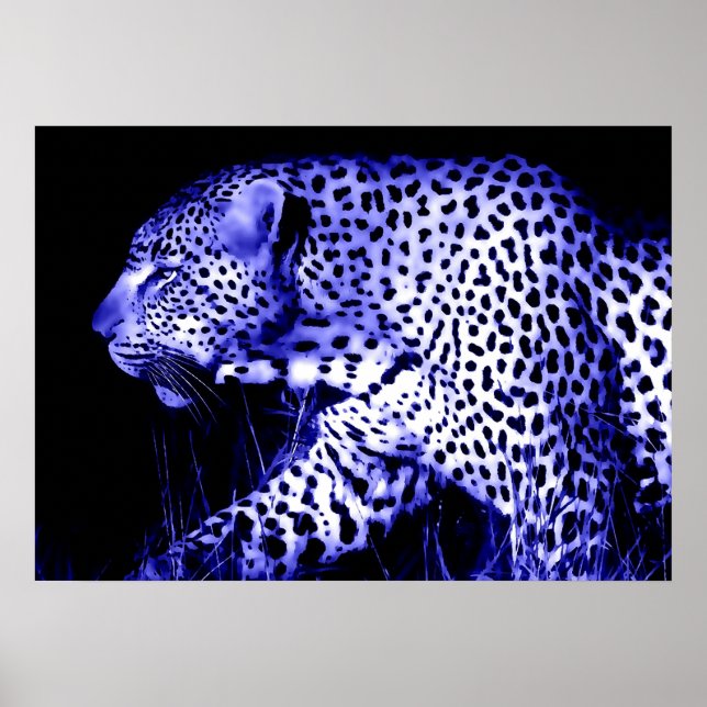 Leopard på Blue Night Poster Pop Art Vilda djur (Framsidan)