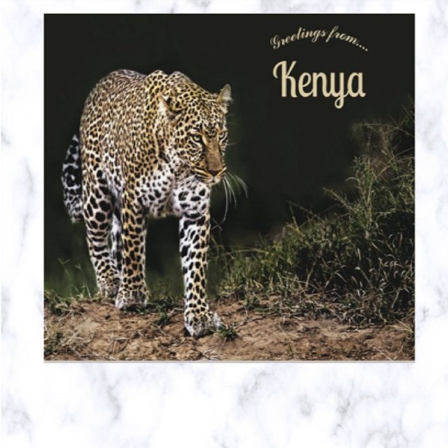 Leopard på Masai Maras nationella reservat Kenya Vykort (Skapare uppladdad)