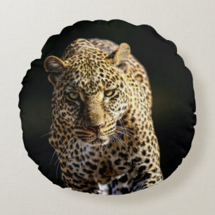 Leopard på Prowl Rund Kudde