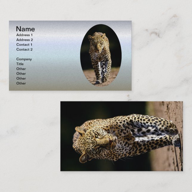 Leopard på Prowl Visitkort (Fram/baksida)