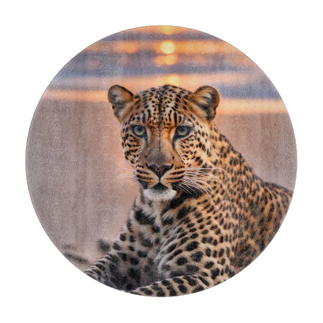 Leopard på stranden (Framsidan)