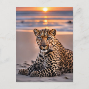 Leopard på stranden helg vykort