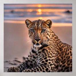 Leopard på stranden poster