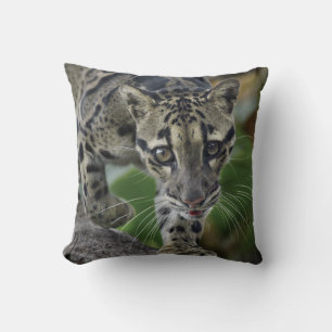 Leopard på väg kudde