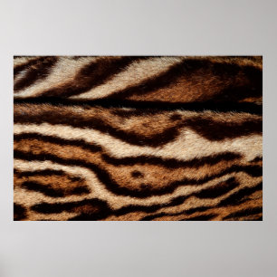 leopard päls poster