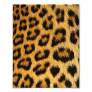 Leopard Päls Skriv ut Fototryck