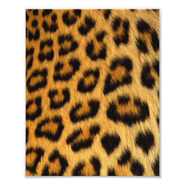 Leopard Päls Skriv ut Fototryck (Framsidan)