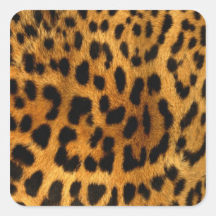 Leopard Päls Skriv ut Fyrkantigt Klistermärke