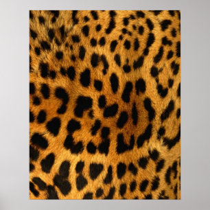 Leopard Päls Skriv ut Poster