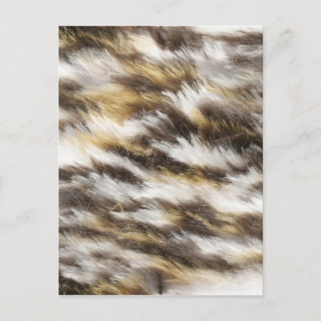 leopard päls vykort (Framsida)