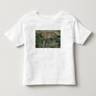 Leopard, (Panthera pardus), Kenya, Masai Mara T-shirt