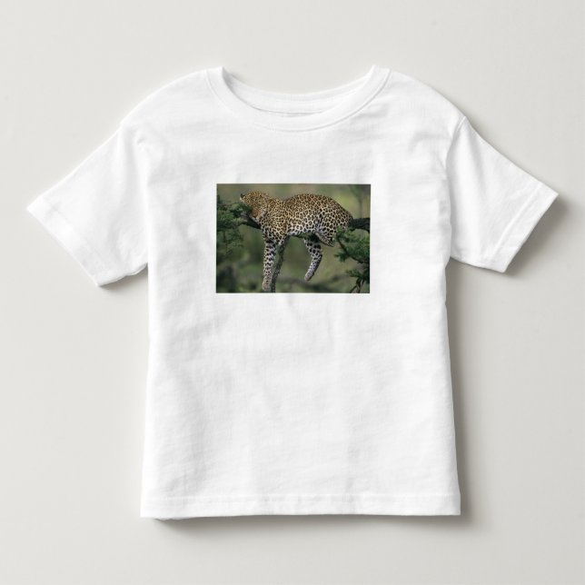 Leopard, (Panthera pardus), Kenya, Masai Mara T-shirt (Framsida)
