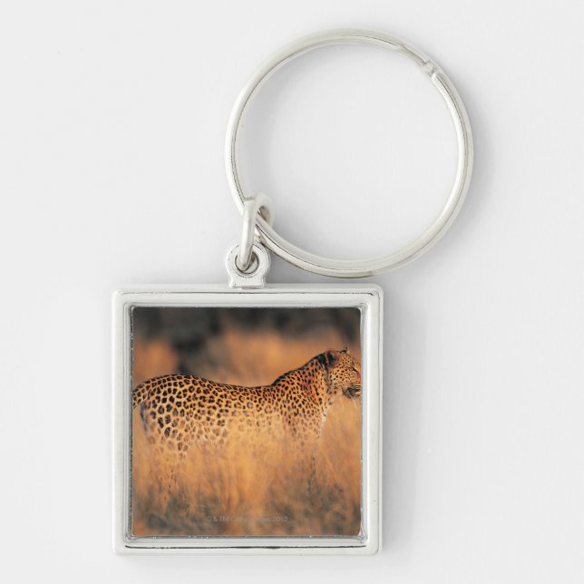 Leopard (Pantherapardus) Fyrkantig Silverfärgad Nyckelring (Framsidan)
