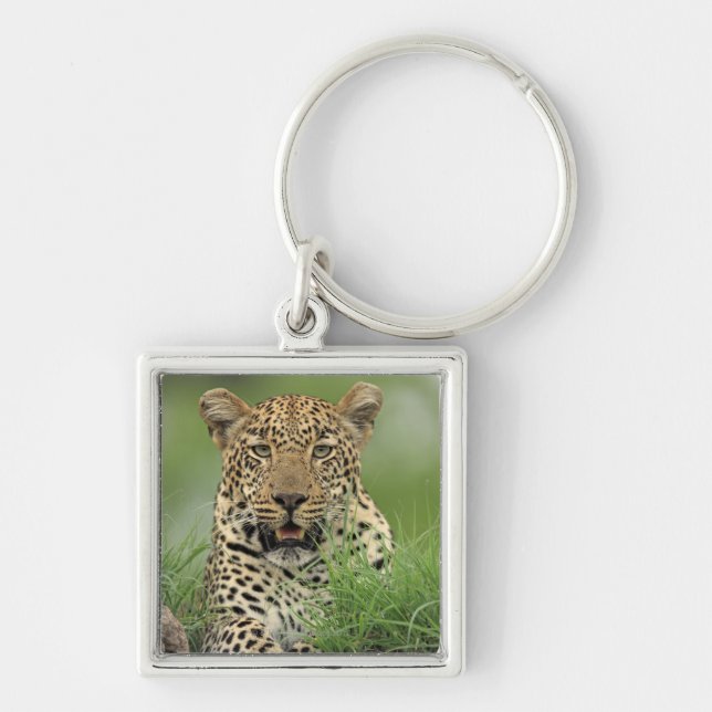 Leopard Pantherapardus, Sabi Sabi lek Fyrkantig Silverfärgad Nyckelring (Framsidan)