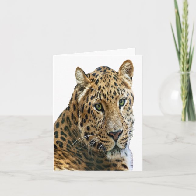 Leopard Photo Foled Note Card Anteckningskort (Framsida)