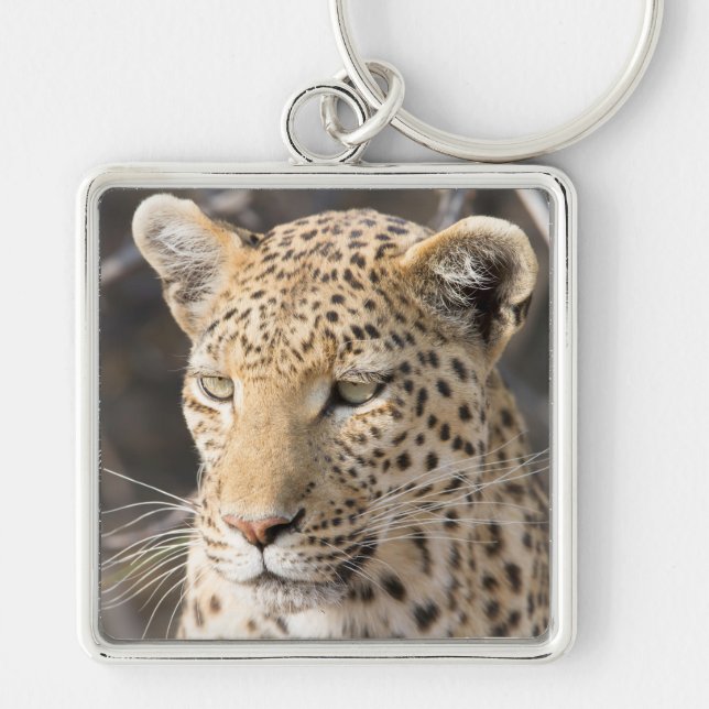 Leopard porträtt fyrkantig silverfärgad nyckelring (Framsidan)