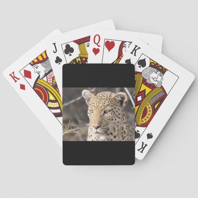 Leopard porträtt kortlek (Baksidan)