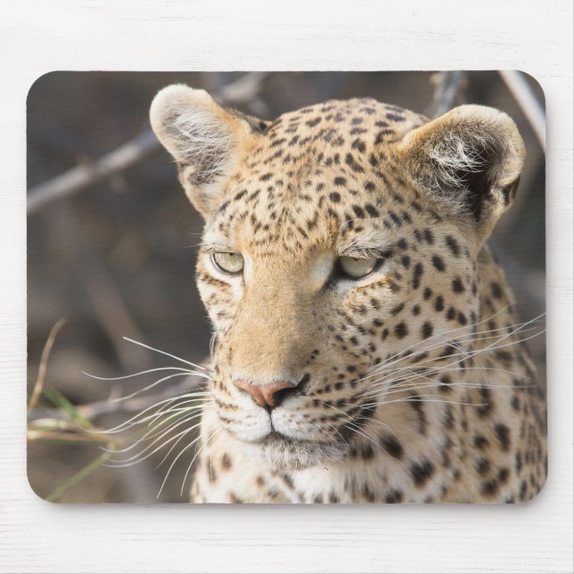Leopard porträtt musmatta (Framsidan)