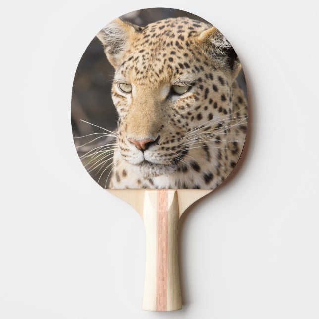 Leopard porträtt pingisracket (Framsidan)