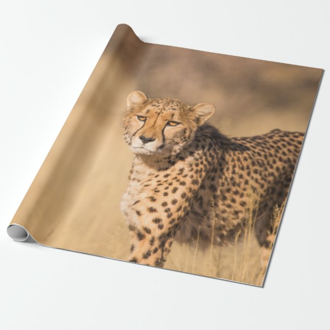 LEOPARD PORTRÄTT PRESENTPAPPER (Utrullad)