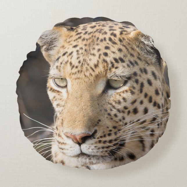 Leopard porträtt rund kudde (Framsidan)