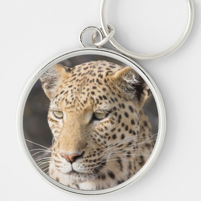 Leopard porträtt rund silverfärgad nyckelring (Framsidan)