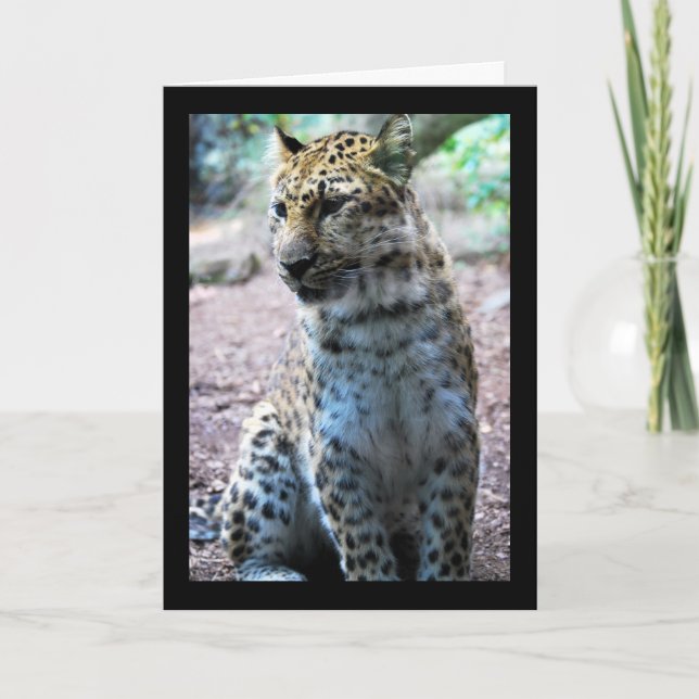 Leopard Pose Kort (Framsida)