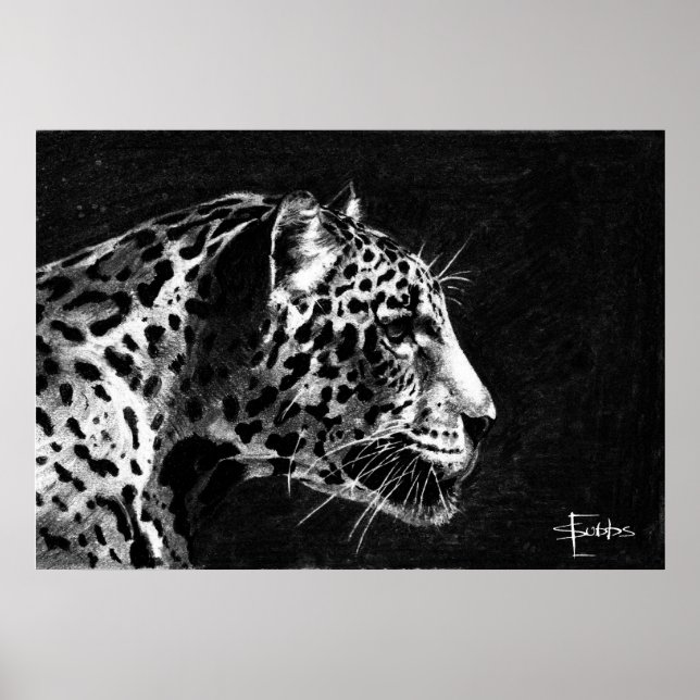 Leopard Poster (Framsidan)