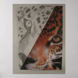 Leopard Poster