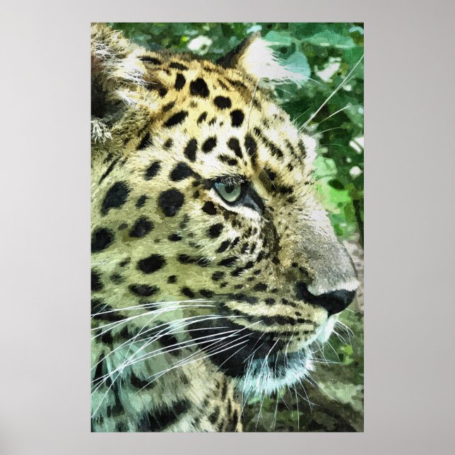 LEOPARD POSTER (Framsidan)