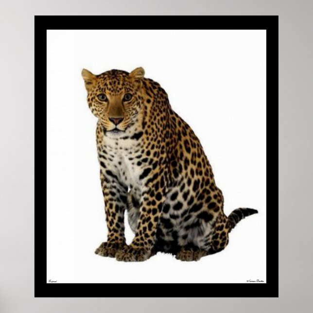 Leopard Poster (Framsidan)