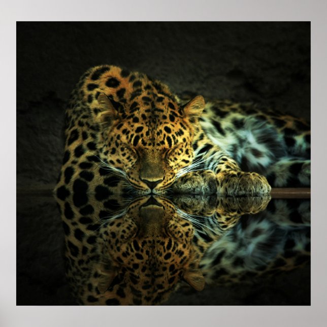 Leopard Poster (Framsidan)