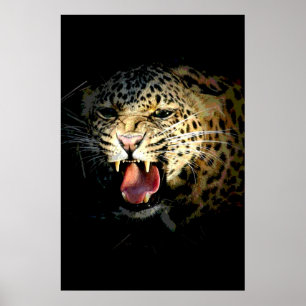 Leopard Poster Skriv ut - Motiv bild av vildlivet