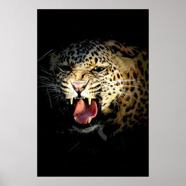 Leopard Poster Skriv ut - Motiv bild av vildlivet (Framsidan)