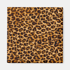 Leopard print, cheetah print, rosa, girly magnet