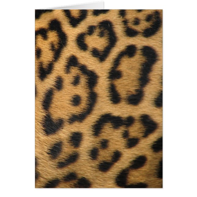 Leopard Print Hälsningskort (Framsidan)