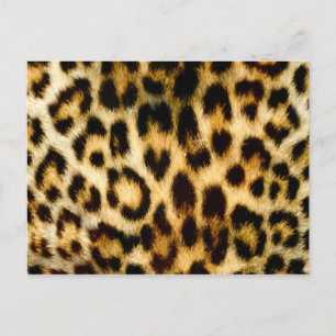 Leopard print vykort